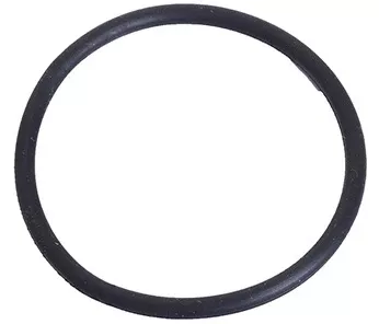 Bissell 1548 O Ring
